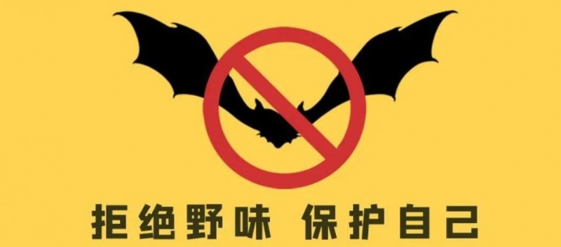 12省市已出臺“禁野令”，亂吃野味以后怎么罰？
