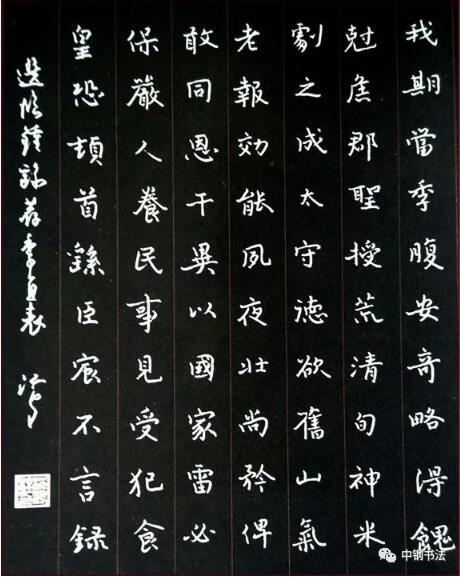 硬壇傳記沈鴻根——《中國(guó)篆刻 · 鋼筆書法》雜志專訪著名書法家沈鴻根（江鳥）