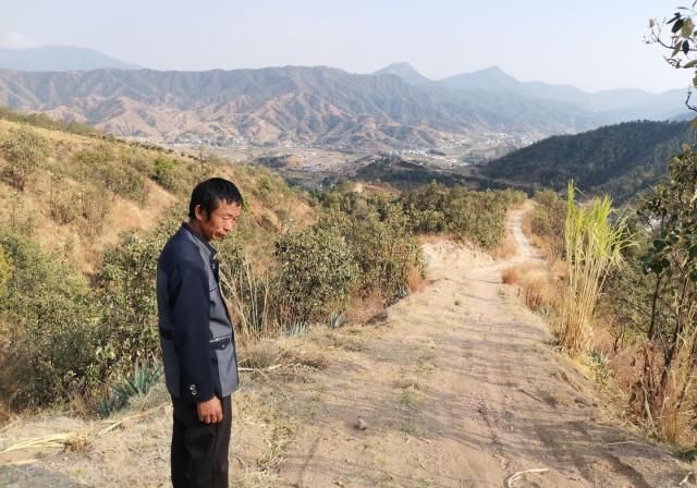 農(nóng)民自費(fèi)修路被罰，能適用“輕微違法免罰”嗎？