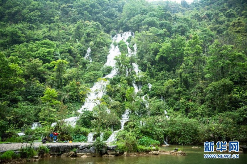 鏡頭帶你走進(jìn)貴州荔波小七孔 青山秀水春光美