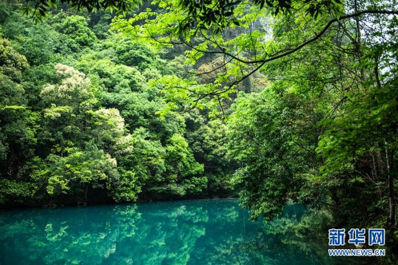鏡頭帶你走進(jìn)貴州荔波小七孔 青山秀水春光美