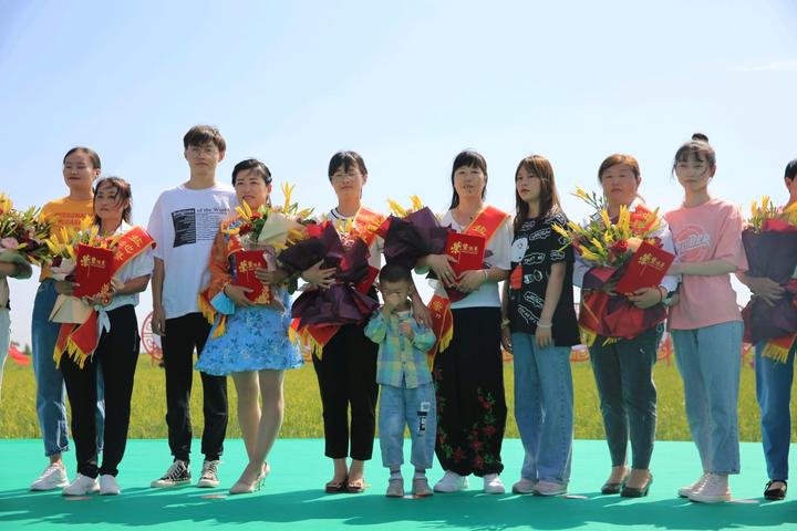 小黃花菜轉(zhuǎn)變成致富大產(chǎn)業(yè)、鹽池縣農(nóng)業(yè)發(fā)展引人深思