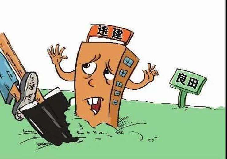 堅(jiān)決遏制亂占耕地建房，還需要怎樣用力？