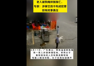 老人被狗繩絆倒身亡，專(zhuān)家：涉事女孩不構(gòu)成犯罪但有民事責(zé)任