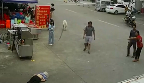 老人被狗繩絆倒身亡，專(zhuān)家：涉事女孩不構(gòu)成犯罪但有民事責(zé)任