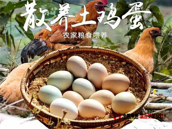 雞蛋_副本.jpg
