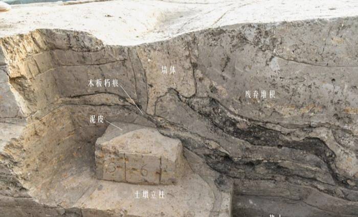 河南淮陽時莊遺址剖面 河南省文物考古研究院供圖