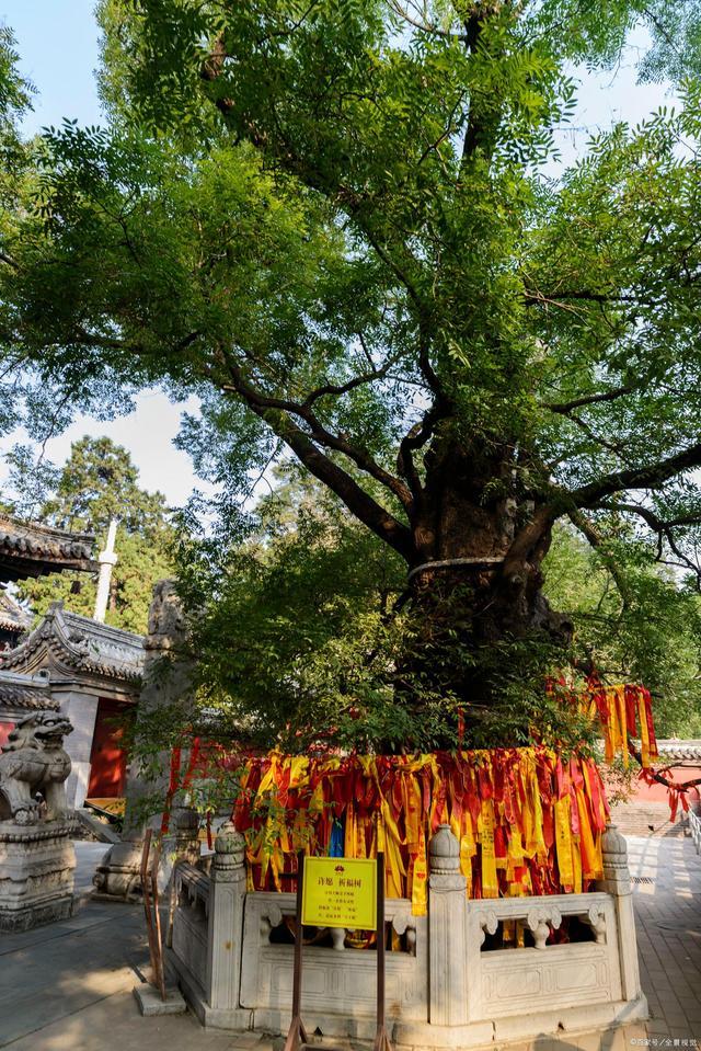 京西有座千年寺廟，授戒需要皇帝赦諭，距離北京只有70公里