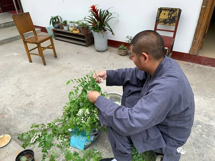 “一窮二白”的年輕僧人，讓600年古廟“活”了過來