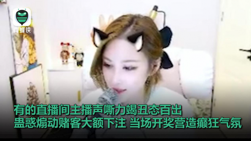 輸光學(xué)費(fèi)、房款、公款……直播間聚賭網(wǎng)上蔓延 毒害青少年觸目驚心