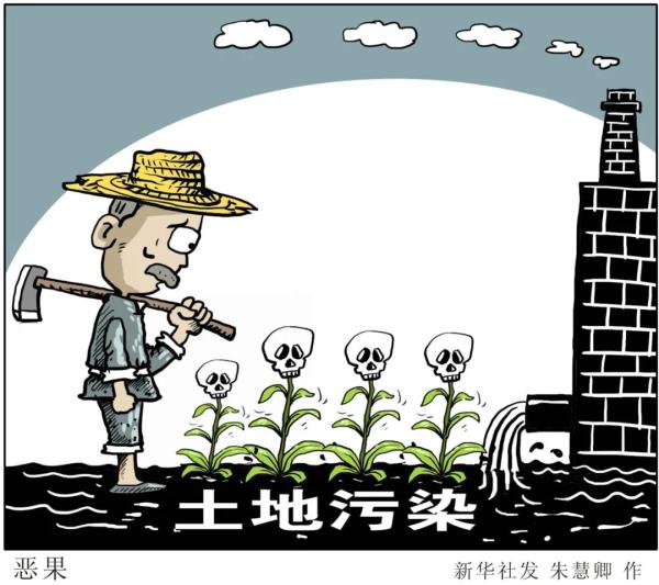 明知是毒大米，買賣卻輕而易舉：起底四川德陽鎘超標大米銷售鏈