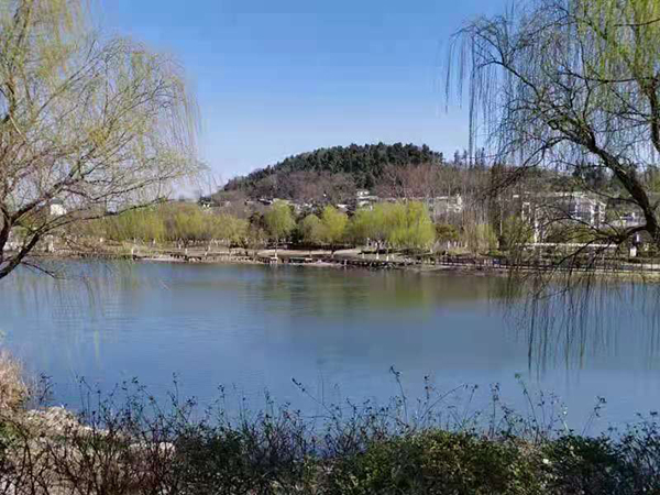 周家鴻手機(jī)拍圖——淮水春光
