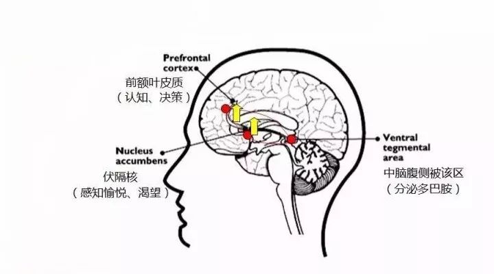 揭秘購買盲盒背后的心理機制：我們到底在購買什么？