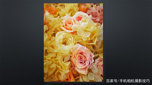 春花盛開，手機(jī)怎么拍？記住這4條秘訣，就能出大片！