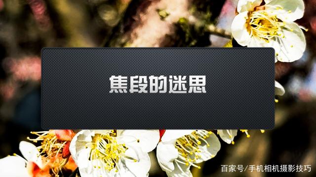 春花盛開，手機(jī)怎么拍？記住這4條秘訣，就能出大片！
