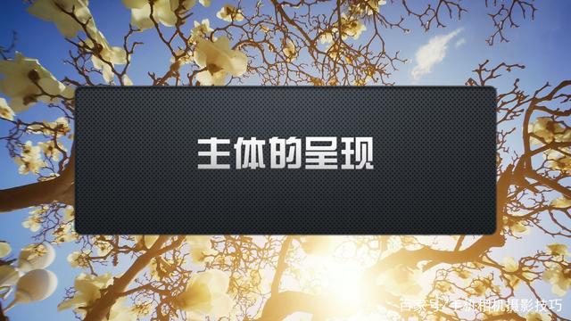 春花盛開，手機(jī)怎么拍？記住這4條秘訣，就能出大片！