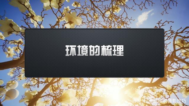 春花盛開，手機(jī)怎么拍？記住這4條秘訣，就能出大片！