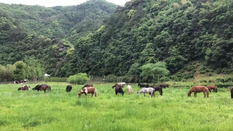 萬(wàn)年浦江 詩(shī)畫之鄉(xiāng)