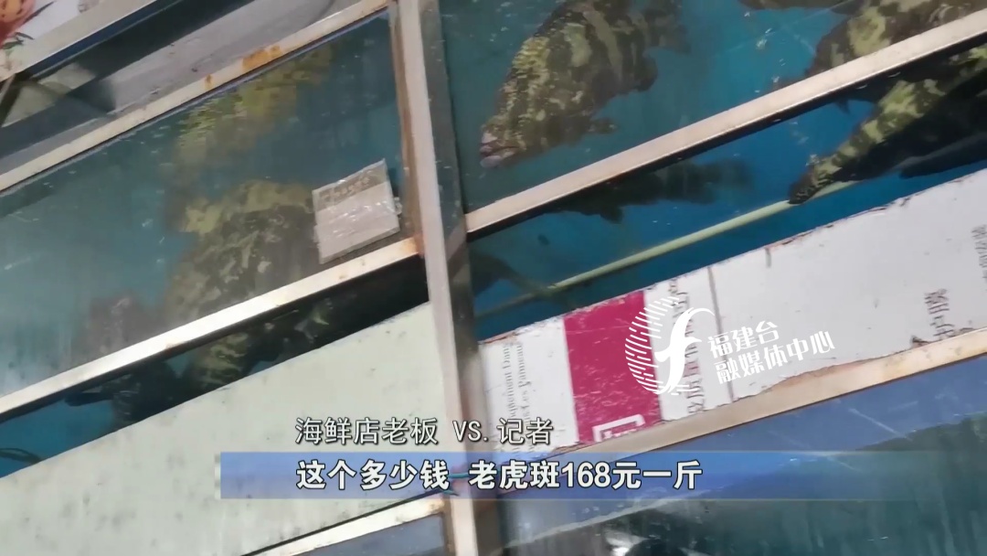全程揭秘廈門“低價(jià)游黑鏈”，是如何被坑的？