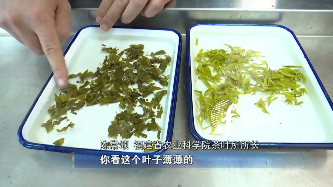 全程揭秘廈門“低價(jià)游黑鏈”，是如何被坑的？
