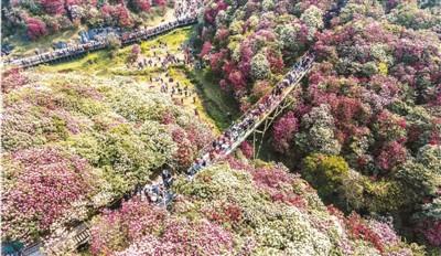今年將迎首個(gè)旅游高峰