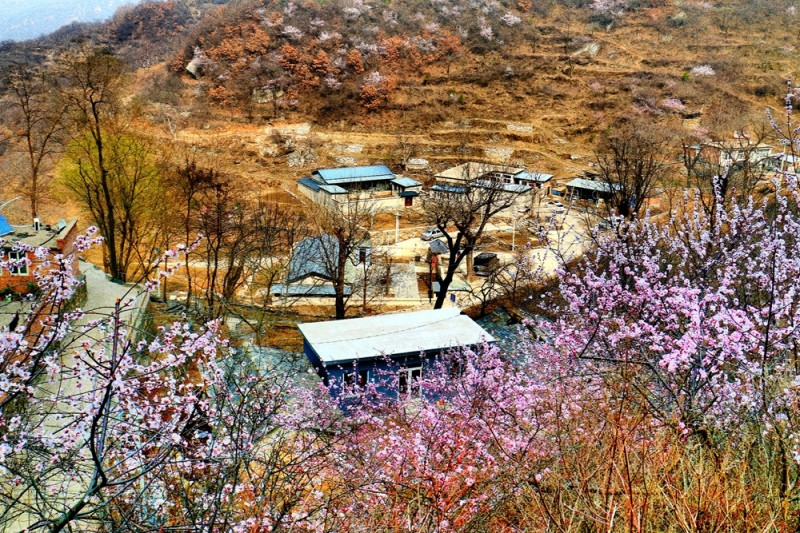 孫建軍攝影:大山里的春天