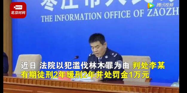 農(nóng)民砍自家樹(shù)700棵獲刑！處罰依據(jù)公布