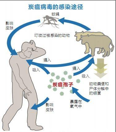北京疾控提醒：五一出游，人與動物保持距離