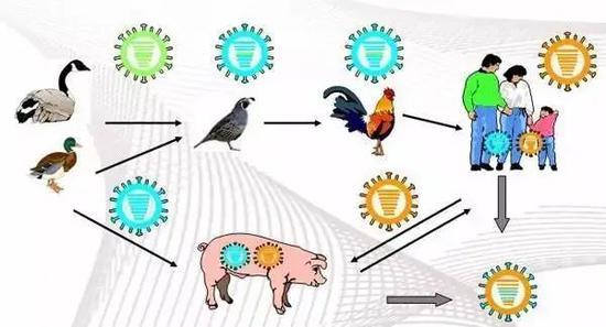 北京疾控提醒：五一出游，人與動物保持距離