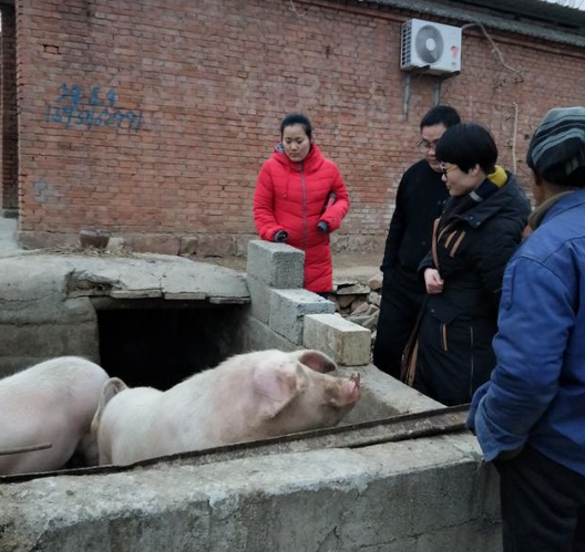 大學生做腌肉帶領(lǐng)村民致富