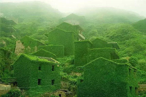 俄羅斯人拍了幾張中國(guó)的照片，獲得了國(guó)際頭獎(jiǎng)，驚艷了全世界。 