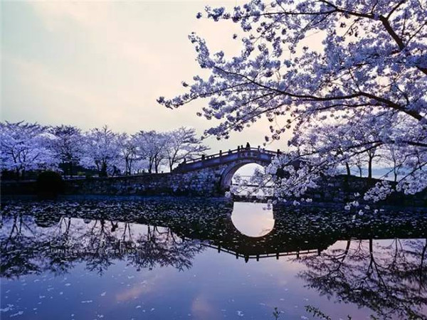 俄羅斯人拍了幾張中國(guó)的照片，獲得了國(guó)際頭獎(jiǎng)，驚艷了全世界。 
