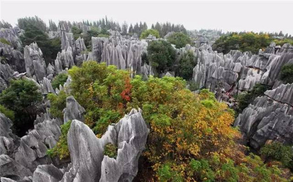 俄羅斯人拍了幾張中國(guó)的照片，獲得了國(guó)際頭獎(jiǎng)，驚艷了全世界。 