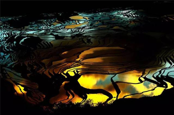 俄羅斯人拍了幾張中國(guó)的照片，獲得了國(guó)際頭獎(jiǎng)，驚艷了全世界。 