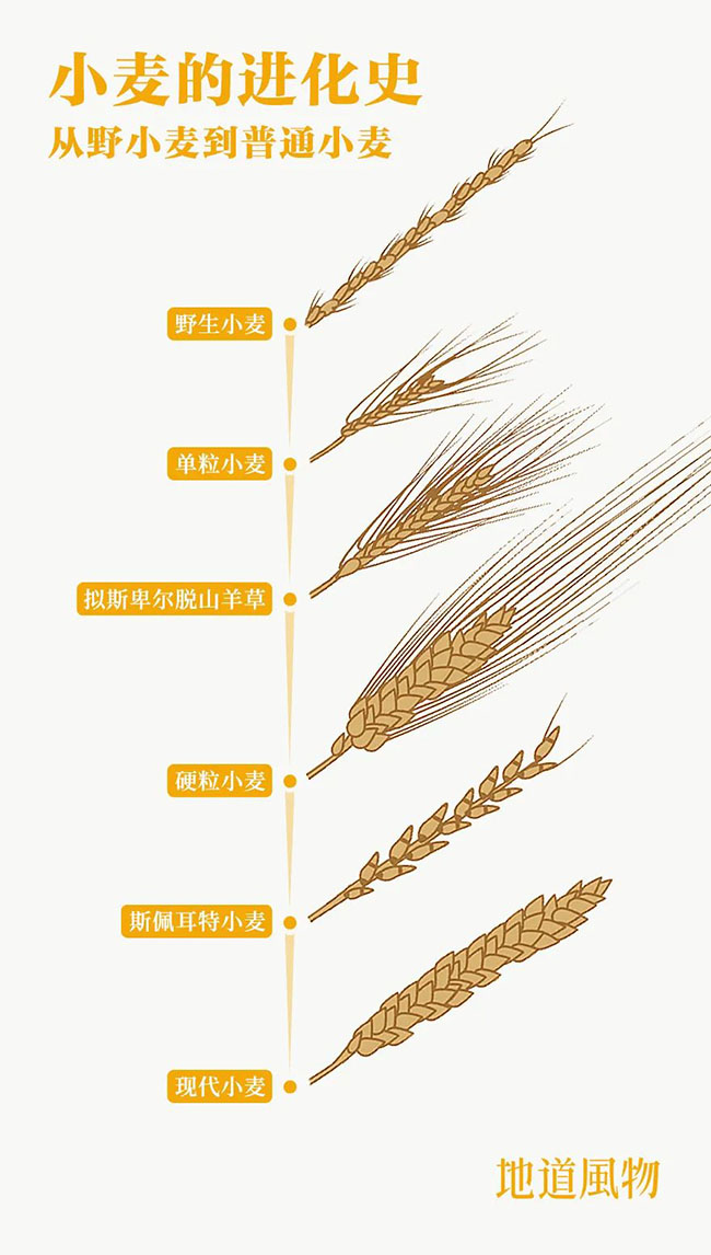 什么是中國夏天最美的景色？