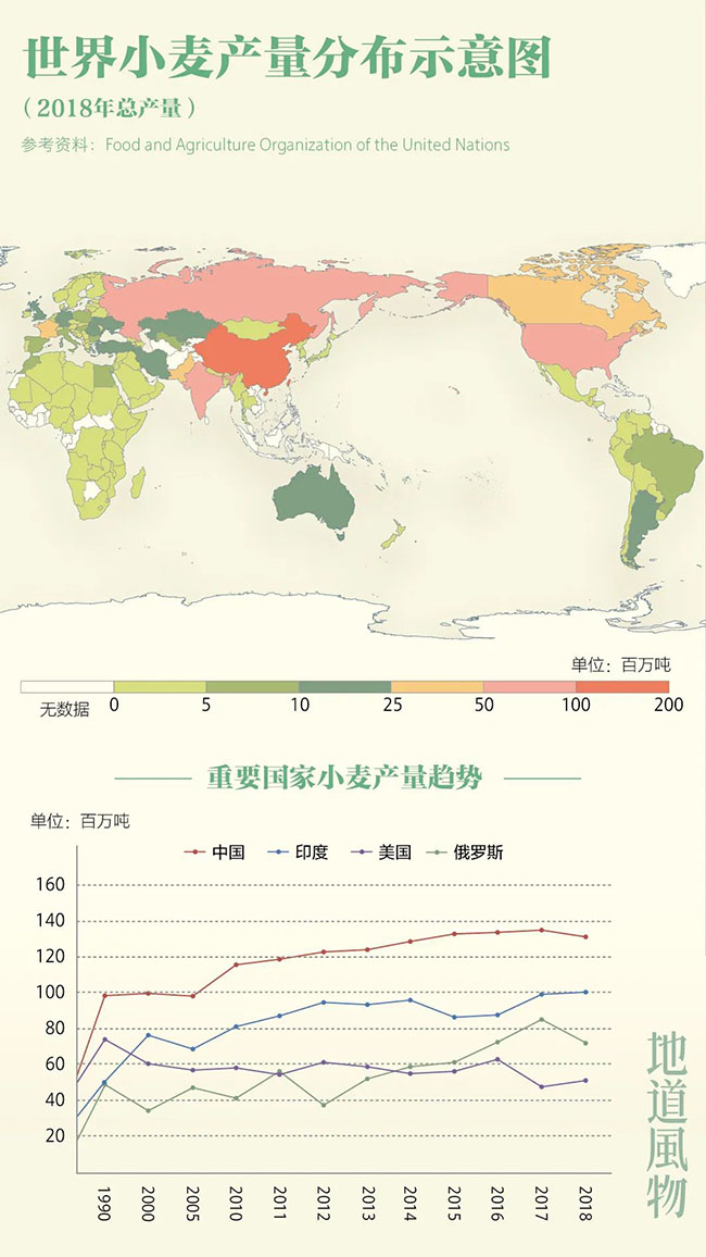 什么是中國夏天最美的景色？