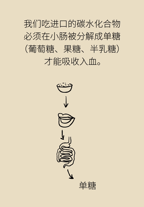 抗糖化能防衰老是真的！做好這6點(diǎn)就行