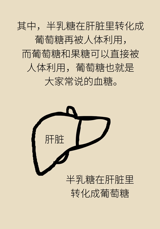 抗糖化能防衰老是真的！做好這6點(diǎn)就行