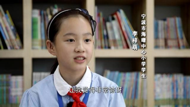 “神獸”歸來 不花錢的暑托班有市場嗎？