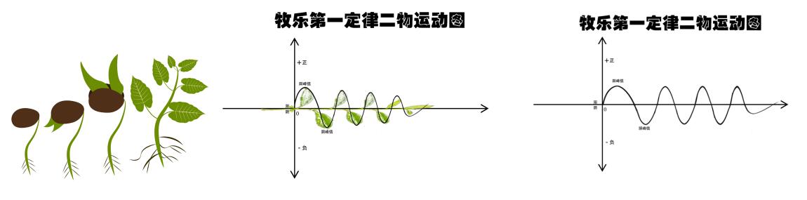 關于宇宙形狀、空間、時間、生命體的討論與五個猜想