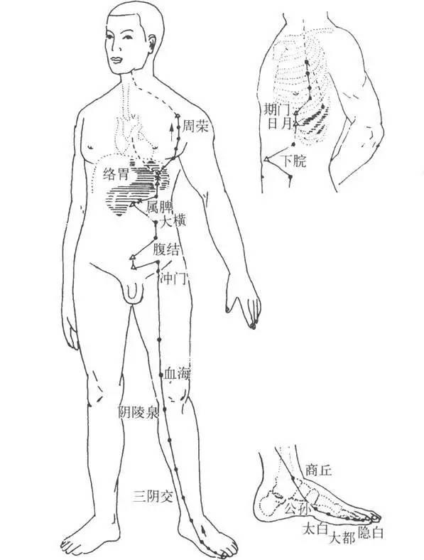 7個方法調(diào)理好你的中焦和脾胃，排出身體寒濕