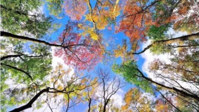 秋季最實(shí)用攝影技巧，快學(xué)習(xí)了！