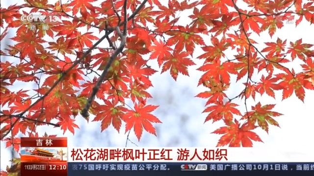 三星堆、九寨溝、云岡石窟……多個(gè)旅游熱門目的地現(xiàn)大客流