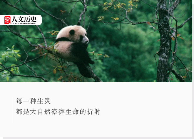 中國國家公園，到底有多寶藏？