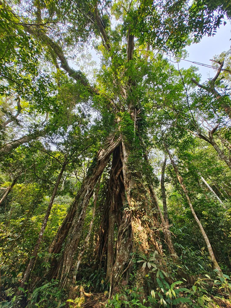 中國國家公園，到底有多寶藏？