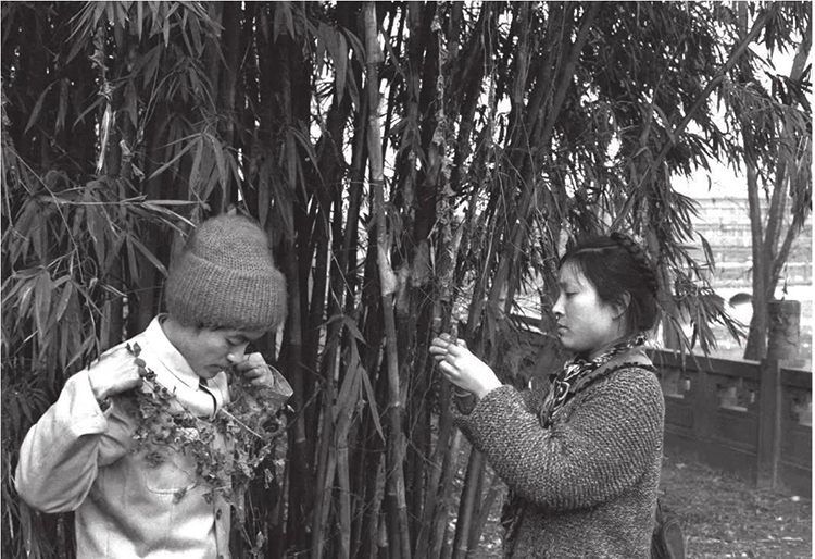 顧城：我是一個(gè)放豬的孩子