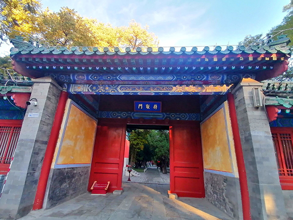 秋到京城已十分——李月手機拍圖