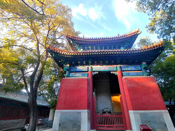 秋到京城已十分——李月手機拍圖