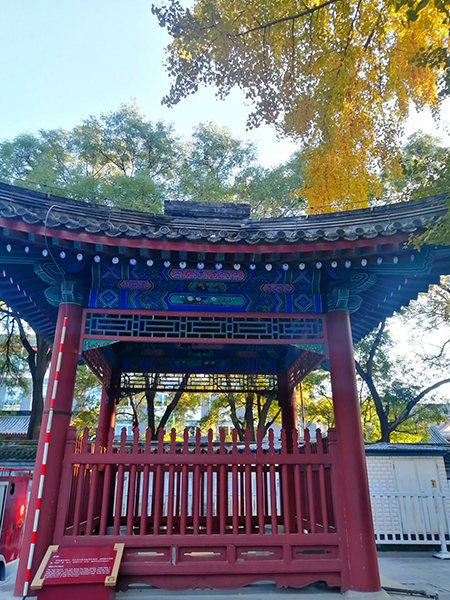 秋到京城已十分——李月手機拍圖