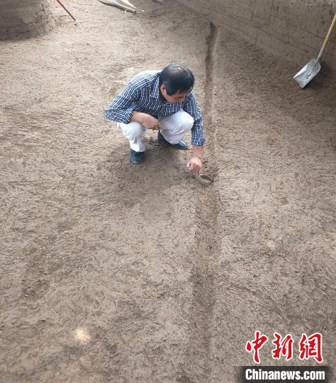 鎬京遺址發(fā)現(xiàn)西周時期道路等遺跡